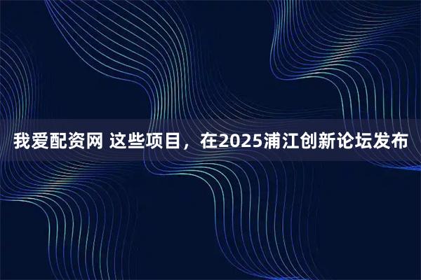 我爱配资网 这些项目，在2025浦江创新论坛发布