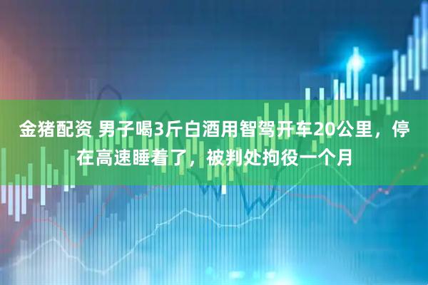 金猪配资 男子喝3斤白酒用智驾开车20公里，停在高速睡着了，被判处拘役一个月