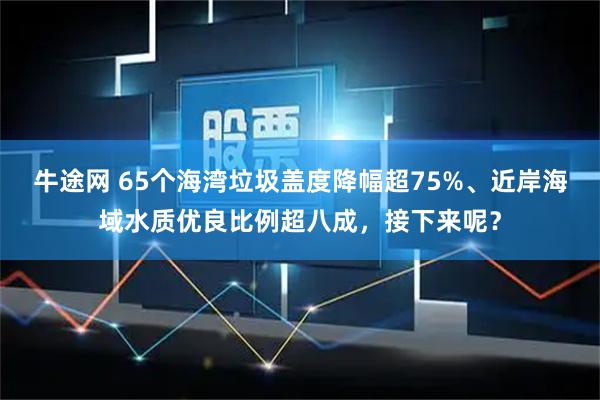 牛途网 65个海湾垃圾盖度降幅超75%、近岸海域水质优良比例超八成，接下来呢？