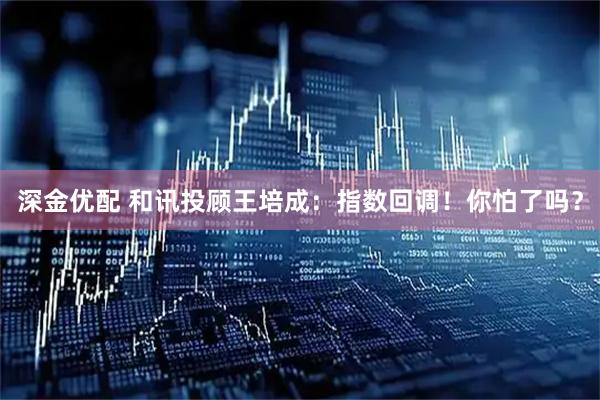 深金优配 和讯投顾王培成：指数回调！你怕了吗？