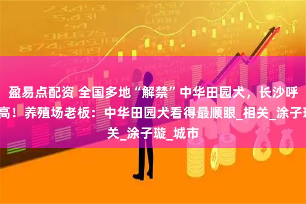 盈易点配资 全国多地“解禁”中华田园犬，长沙呼声也很高！养殖场老板：中华田园犬看得最顺眼_相关_涂子璇_城市