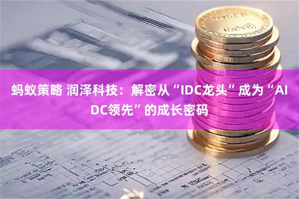 蚂蚁策略 润泽科技：解密从“IDC龙头”成为“AIDC领先”的成长密码